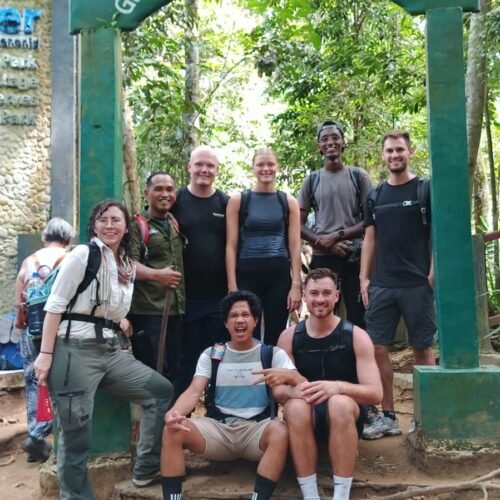 1-Day Orangutan Jungle Trek